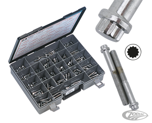 10pck 12-point bolts,5/16-18 x 2", (DE)