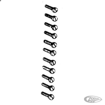 Transmission cover screw kit 45CI, white (DE)