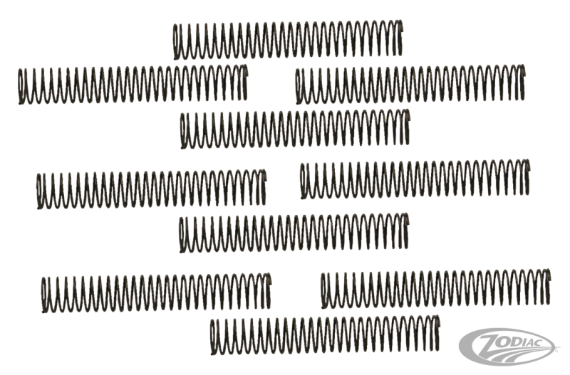 10pck S&S Check valve spring (DE)
