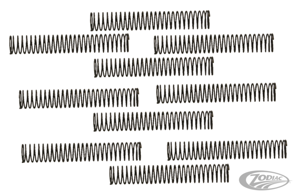 10pck S&S Check valve spring (DE)