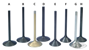 Black Diamond blank intake valve 2.000" (DE)