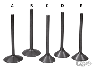 Black Diamond blank intake valve 2.000" (DE)