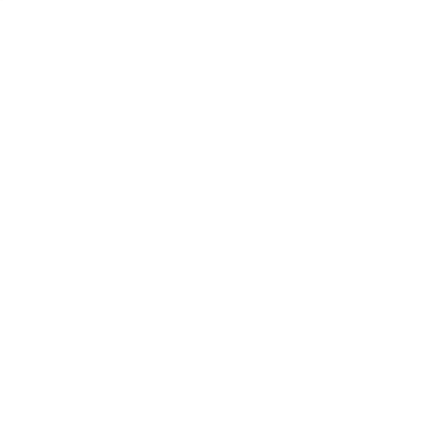 Electronic Speed correction module (DE)