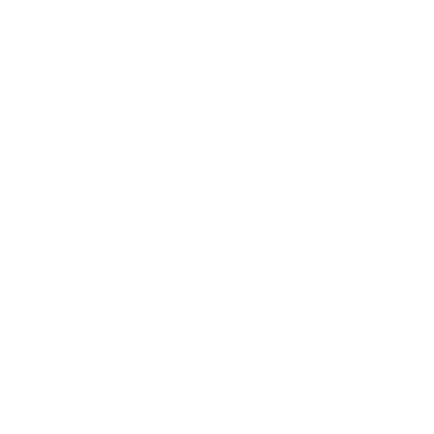 Electronic Speed correction module (DE)