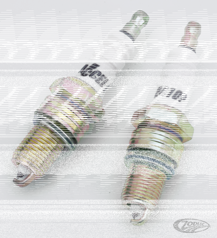 ACCEL white Platinum spark plugs 2410P (DE)