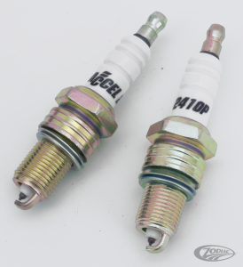 ACCEL white Platinum spark plugs 2410P
