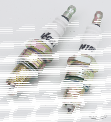 ACCEL white Platinum spark plugs 2410P (DE)