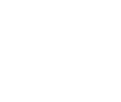 Friction disc (DE)
