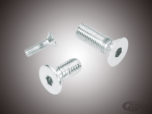 10pck Flat head socket 5/16-18x1" UNC (DE)