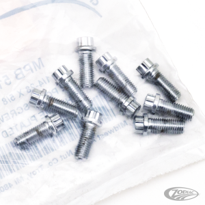 10pck 12-point screw 1/4-28x5/8", UNF (DE)