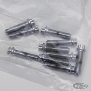 10pck 12-point screw 1/4-28x1", UNF (DE)