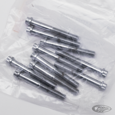10pck 12-point screw 1/4-28x2", UNF (DE)