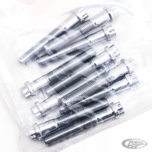 10pck 12-point screw 5/16-24x2", UNF (DE)