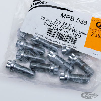 10pck 12-point screw 3/8-24x1", UNF (DE)