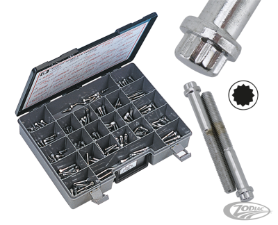 10pck 12-point screw 3/8-24x1 1/4", UNF (DE)