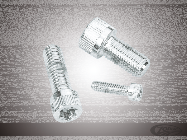 10pck Knurled torx screw 1/4-20x5/8",UNC (DE)