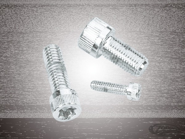 10pck Knurled torx screw 1/4-20x3/4",UNC (DE)