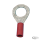 10pck Cable eye Iso M8 (0.25-1) (DE)
