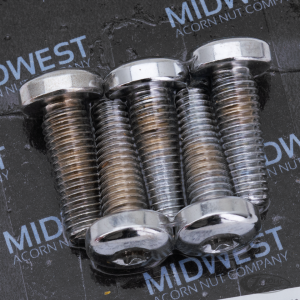 Chrome disc screw&nuts 3/8-16x1.25" TXBH (DE)