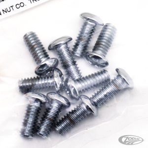 10pck Torx button head 1/4-20x5/8", UNC (DE)
