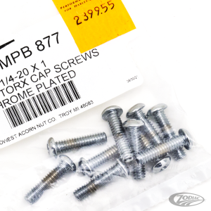 10pck Torx button head 1/4-20x1", UNC (DE)