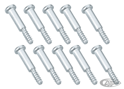 GZP 10pck Screw taillight lens mounting (DE)