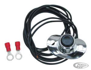 GZP Old style push button switch (DE)