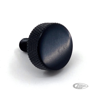 GZP Blk Ezy seat screw + washer 1/4-28