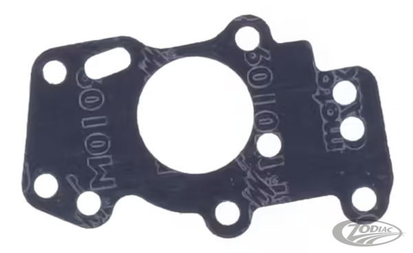 10pck OIL PUMP COVER TO BODY XR1000 (DE)