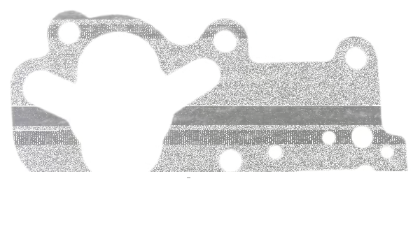10pck OIL PUMP BODY, PAPER #26273-92 (DE)