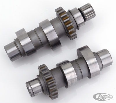 Camshafts TW37 TC99-06 ex FXD06 (DE)