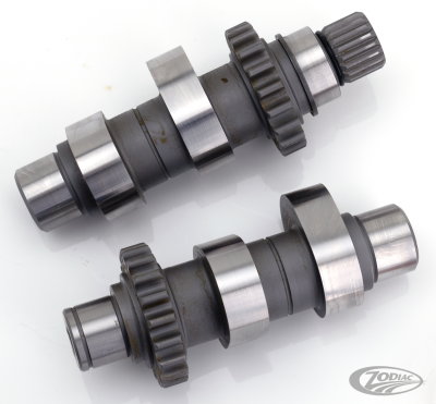 Camshafts TW50 TC99-06 ex FXD06 (DE)