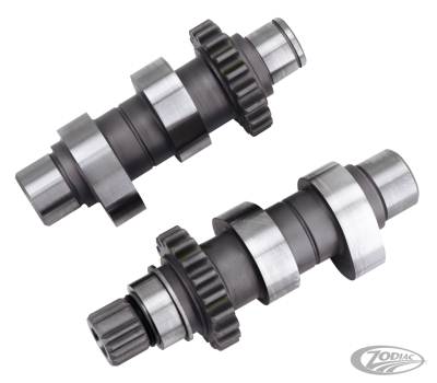 Camshafts TW21 bolt-in TC99-06 ex FXD06 (DE)