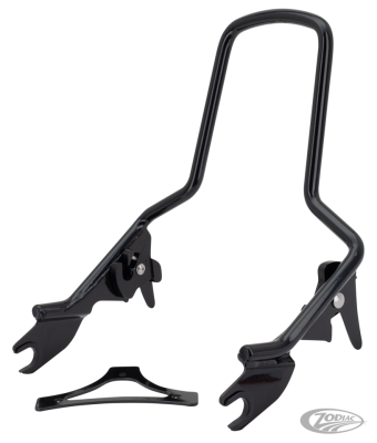 Det. Sissy Bar Standard Black FLT09-up