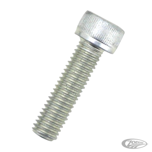Allen bridge bolt for 6-caliper (30x8mm) (DE)