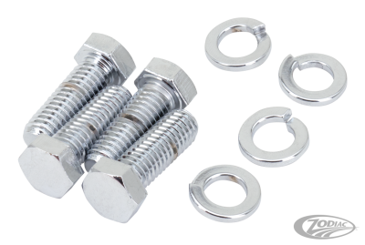 Swingarm pivot mnt screws FLH/T93-02 (DE)