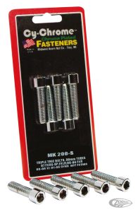 Allen head Triple tree pinch bolts FXRS