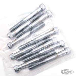 10pck Chrome Allen screws 5/16x2 3/4 UNC (DE)