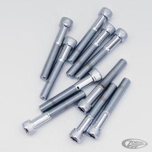 10pck Chrome Allen screws 3/8x2 1/2" UNF (DE)