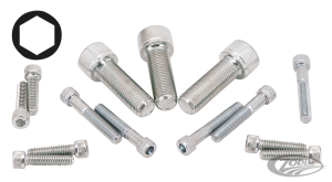 10pck Chrome Allen screws 3/8x3", UNF (DE)