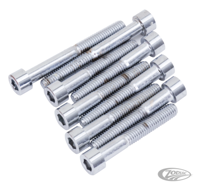 Water pump bolt kit VRSC02-17 (DE)