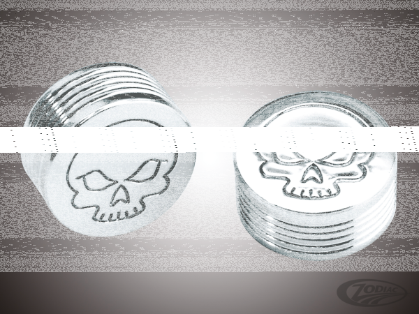 Allen Bolt cap 1/4" Skull design (DE)