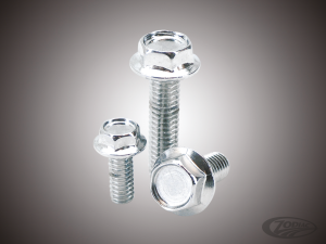 10Pck Ind. Hex Serr. Flange 5/16-18x1" (DE)