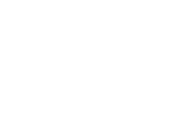 2pck Spacer Pivot (DE)