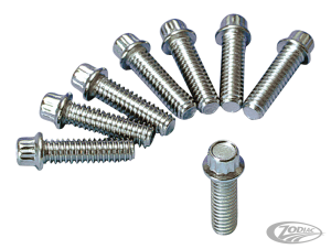 Zinc 12-Pnt screws 1/4-20x7/8", set/8 (DE)