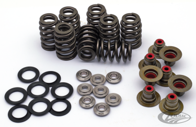 ME17-up Beehive Valve Spring Kit Titan R