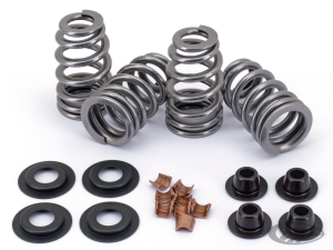 Beehive valve spring kit BT84-04 .610
