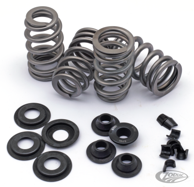Beehive valve spring kit EV/TC84-04 .660 (DE)
