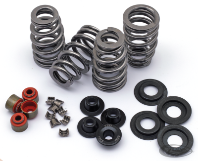 Beehive valve spring kit TC05-17 .610" l (DE)
