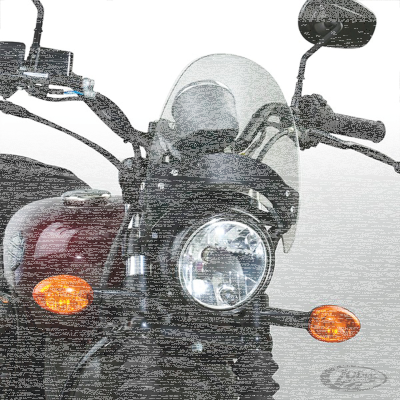 NC Flyscreen Light w/ Black HW 44-51mm (DE)